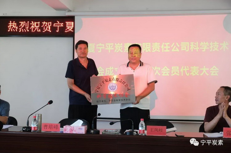 宁夏宁平炭素有限责任公司科学技术协会成立